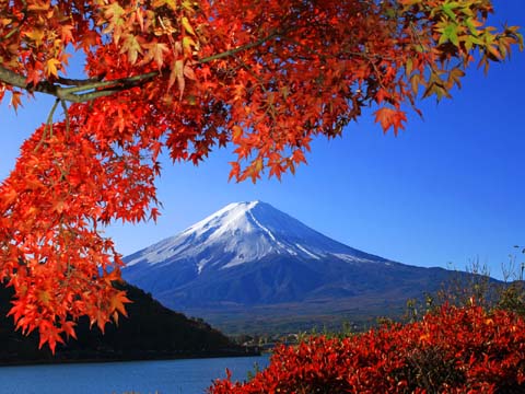 紅葉富士山