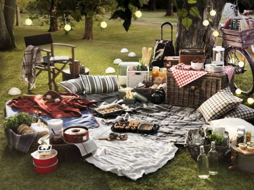 pcnic